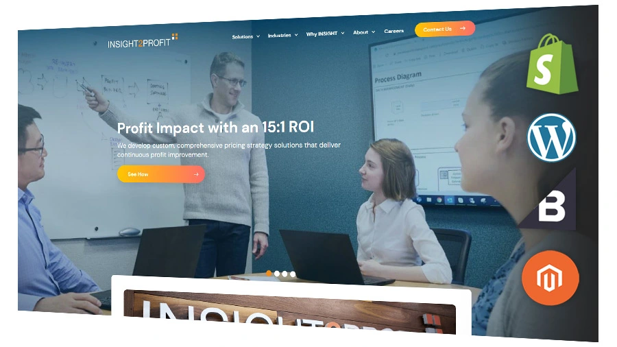 Professional Web Design Services and Agencies
